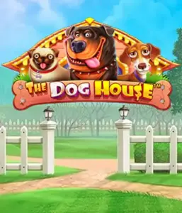 From Pragmatic Play comes The Dog House Slot, offering a delightful experience through lovable dogs. Discover gameplay elements such as multipliers, perfect for delivering joyful moments. Ideal for pet lovers a cheerful setting with a chance for big wins.