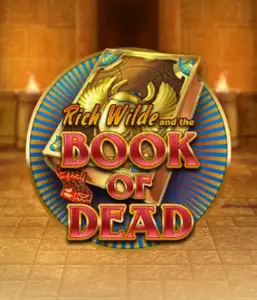 Enter the thrilling world of Book of Dead Slot by Play'n GO, featuring vivid graphics of Rich Wilde’s adventurous journey through ancient Egyptian tombs and artifacts. Uncover lost riches with engaging mechanics like free spins, expanding icons, and a gamble option. Ideal for adventure seekers with a desire for exciting finds.