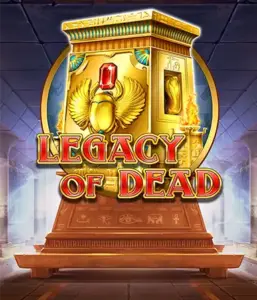 Try  Legacy of Dead slot by Play'n GO featuring complimentary spins and expanding symbols, beginning with bets from $0.10.